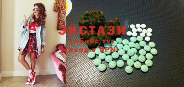 ECSTASY Горняк
