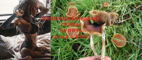 прущая мука Горно-Алтайск