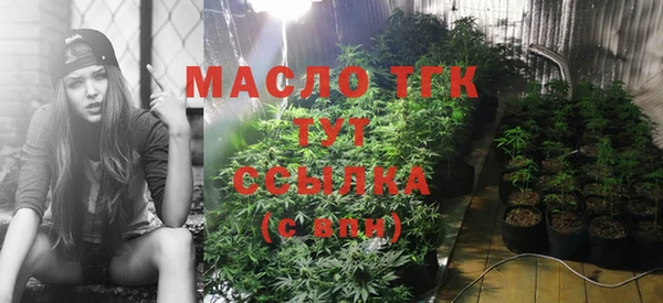 ECSTASY Горняк