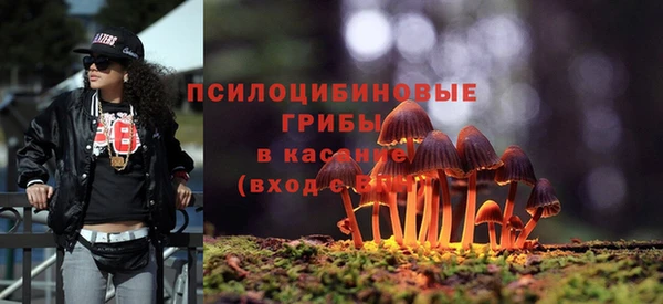 прущий лед Горнозаводск