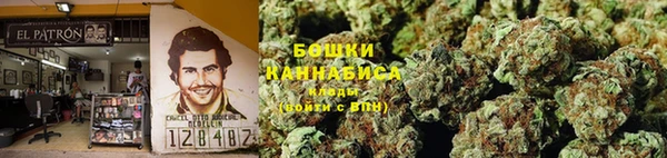 ECSTASY Горняк