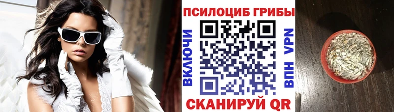 Купить где  Арсеньев  Галлюциногенные грибы Psilocybe 